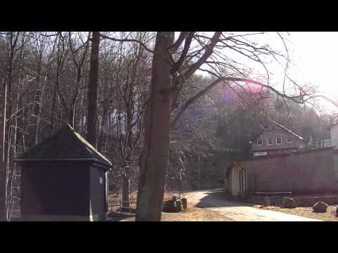 Harz, Dampf und Natur 2 | Bei Steinerne Renne