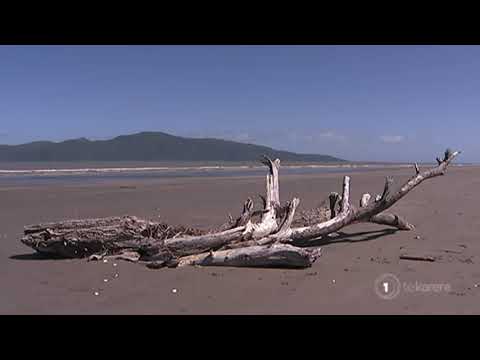 Highlights from today's bulletin 10.01.2019