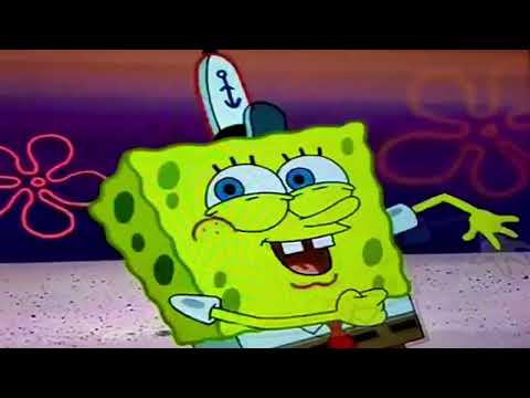 feline tale fake fight part 13