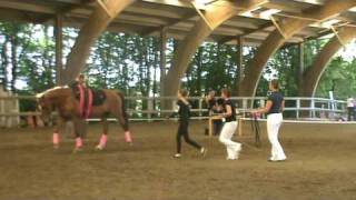 preview picture of video '[ Voltige Equestre ]  Libre - Concours du 23.05.10 à Vertou'