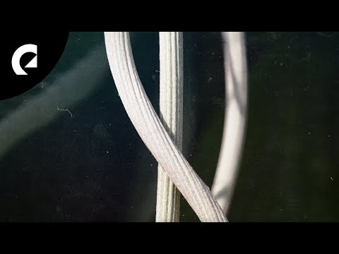 Cushy, Damma Beatz, BLUE STEEL - Area 51