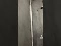 Instalación De Medio Baño En Un Sótano Usando Una Bomba Trituradora Saniflo