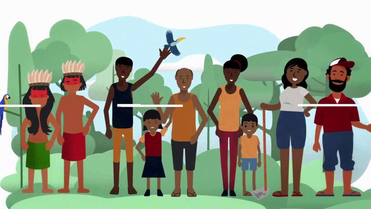 Concessões Florestais: Como funciona a gestão dos recursos financeiros?