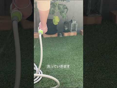 うちの犬が芝生に穴を開けるのはなぜですか?理由と解決策  庭園