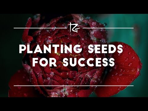 Ep. 201 Planting Seeds for Success