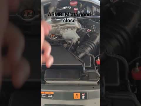 Thumbnail for ASMR Supercharged Miata hood close #supercharged #mazdamiatamx5 #car #miata #roadster #automobile by Roadster (automobile)