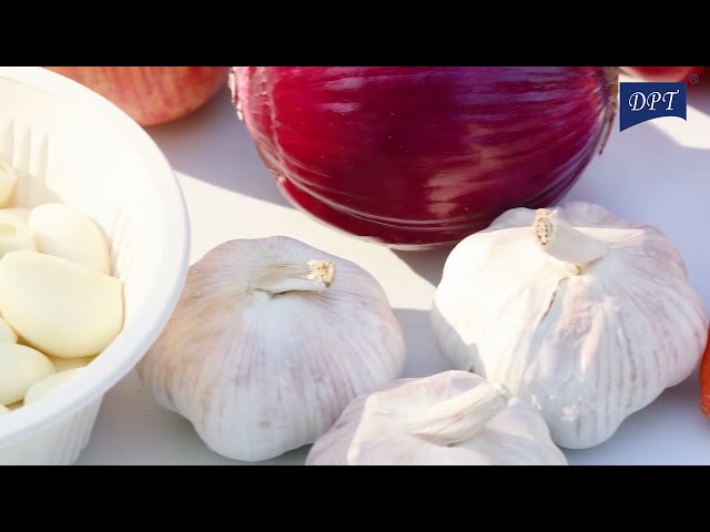 فرامة بصل كهربائية شحن USB 100 مل - سهلة الحمل والتنقل، تنظيف سريع، أداء عالي وكفاءة ممتازة،ضمان سنتان