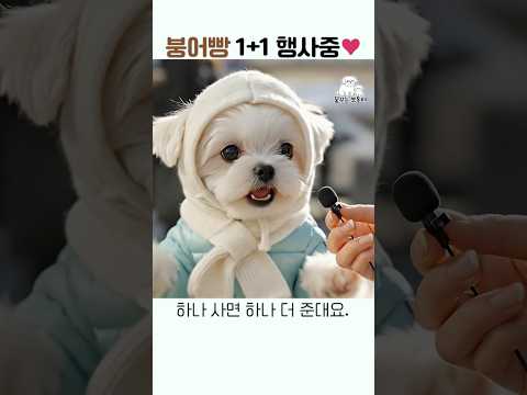 붕어빵 1+1 행사 중