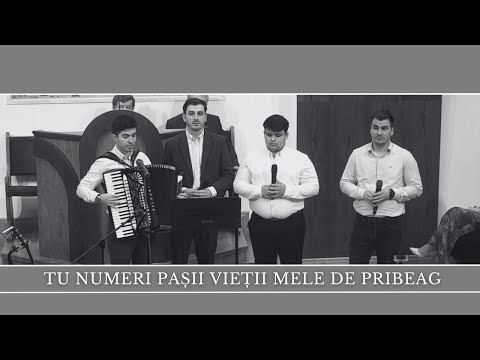 Tu numeri pașii vieții mele de pribeag-Ionatan/ Natanael Dumitras, Eliab și Dani Bec.
