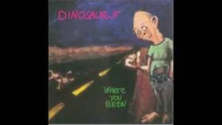 Dinosaur Jr. - I Got Lost