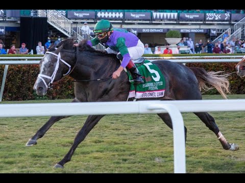 Pegasus World Cup Turf Invitational (G1) 2021