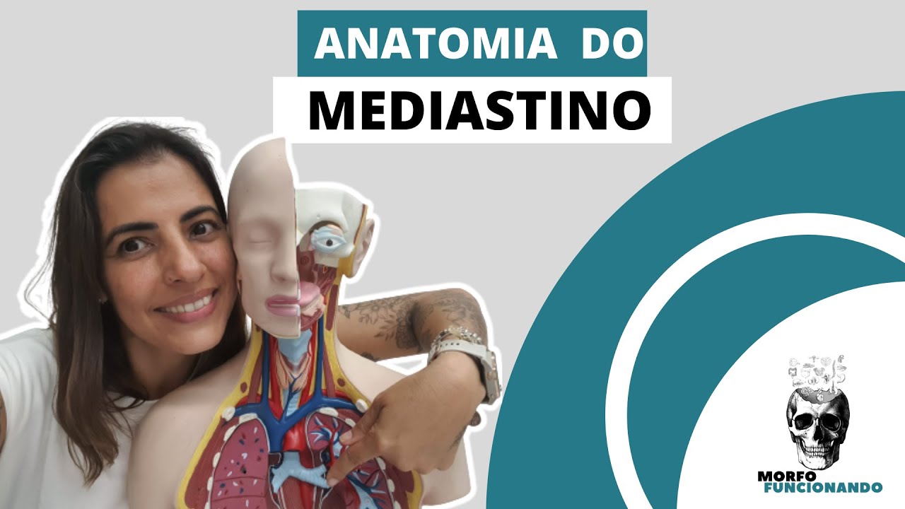 ANATOMIA DO MEDIASTINO #4