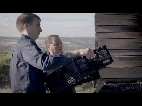 JOSEPH 'Moda' Cabernet Merlot | Primo Estate