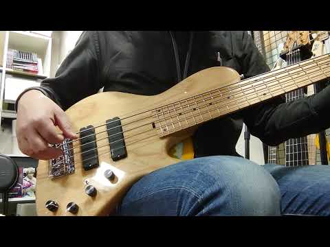 Sadowsky MasterBuilt 24-Fret Single Cut Bass, Swamp Ash Body, 5-String - Natural Transparent High Polish image 5