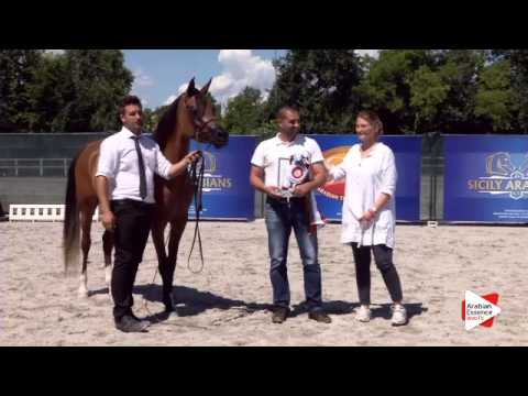 3rd place N.26 JAMUNA P - Festival FVG 2015 - Junior Females Championship (Class 15)