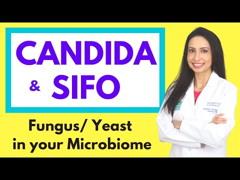 CANDIDA and SIFO (Small Intestine Fungal Overgrowth):  Fungal/ Yeast Overgrowth in the Microbiome
