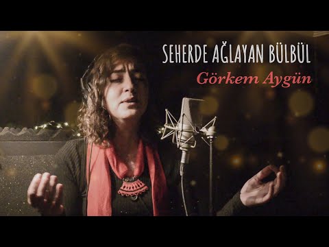 Video Yükleniyor...