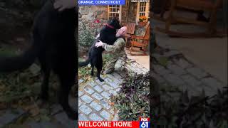Heartwarming military homecoming: Dog can&#39;t contain excitement when seeing owner return to Connectic