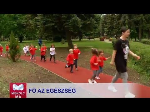 Videó előnézet