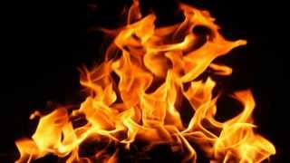 05 - Born To Be Wild - Damian Nesta &#39;Jr Gong&#39; Marley