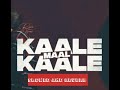 kaale kaale maal by rana bras song | slowed and reverb | new Haryanvi song 2024 #trending #kale