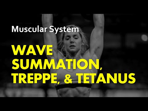 Wave Summation, Treppe & Tetanus | Muscular System 13 | Anatomy & Physiology
