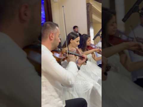 Elegia Quartet