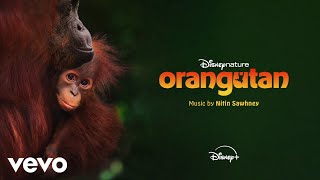 Nitin Sawhney - Leaving Home (From "Disneynature: Orangutan"/Score/Audio Only)