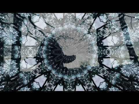 Venus22 Schamanische Reise, Trancereise (Vollversion)