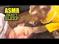 ASMR For People Who CAN T Sleep Real Monkey Grooming Tingles No Talking