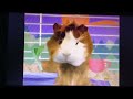 Wonder Pets Save The Mouse