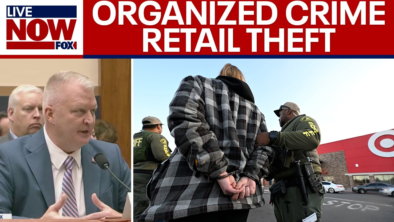 Organized Crime: fighting retail theft rings before Holiday shopping