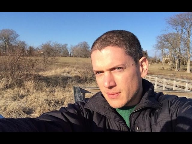 Videouttalande av Wentworth miller Engelska