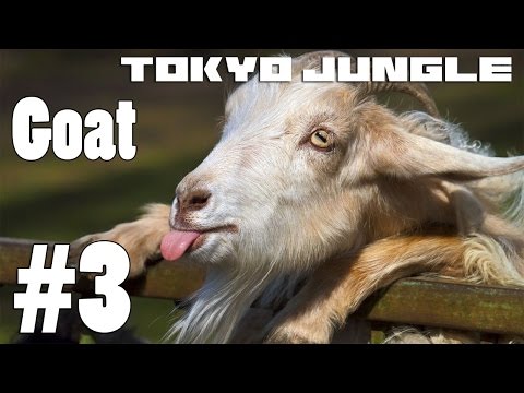 Tokyo Jungle: Goat Survive over 100 years Part 3 of 4