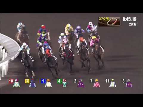 31/3/2021 (548) Gallant Legacy - R Maia