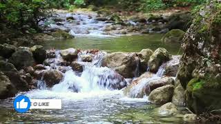 guas lentas de rio-planeta terra incrvel cenrio natural