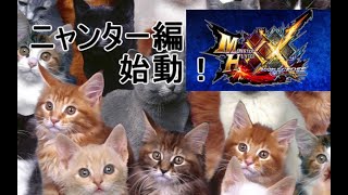 今日からニャンター専門になります【MHXX実況】