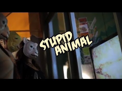 "Stupid Animal" by The Jelly Project - Official Music Video