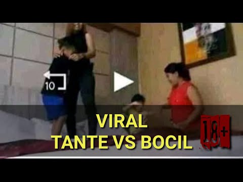 Tante vs anak kecil pemersatu bangsa  | viral video story WA 