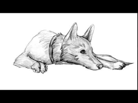 Emoţionant: &ldquo;Scrisoare de adio pentru stăp&acirc;nul meu&rdquo;. &bdquo;Vorbele&rdquo;pe care animaleleni le-ar spune, dacă ar putea, &icirc;n momentul plecării lor