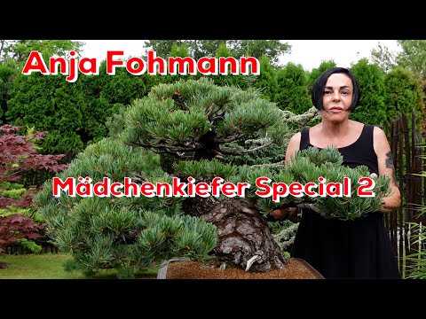 Anja Fohmann @ BonsaiKunstHamburg 2.0