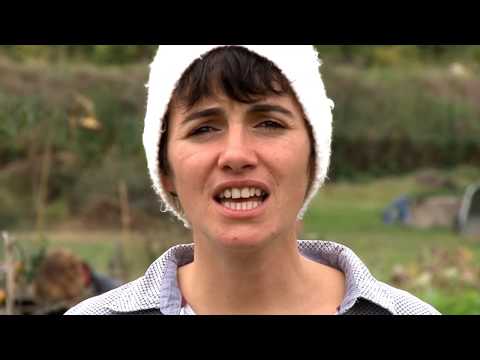 DAGUERRE - Tu dis de moi -