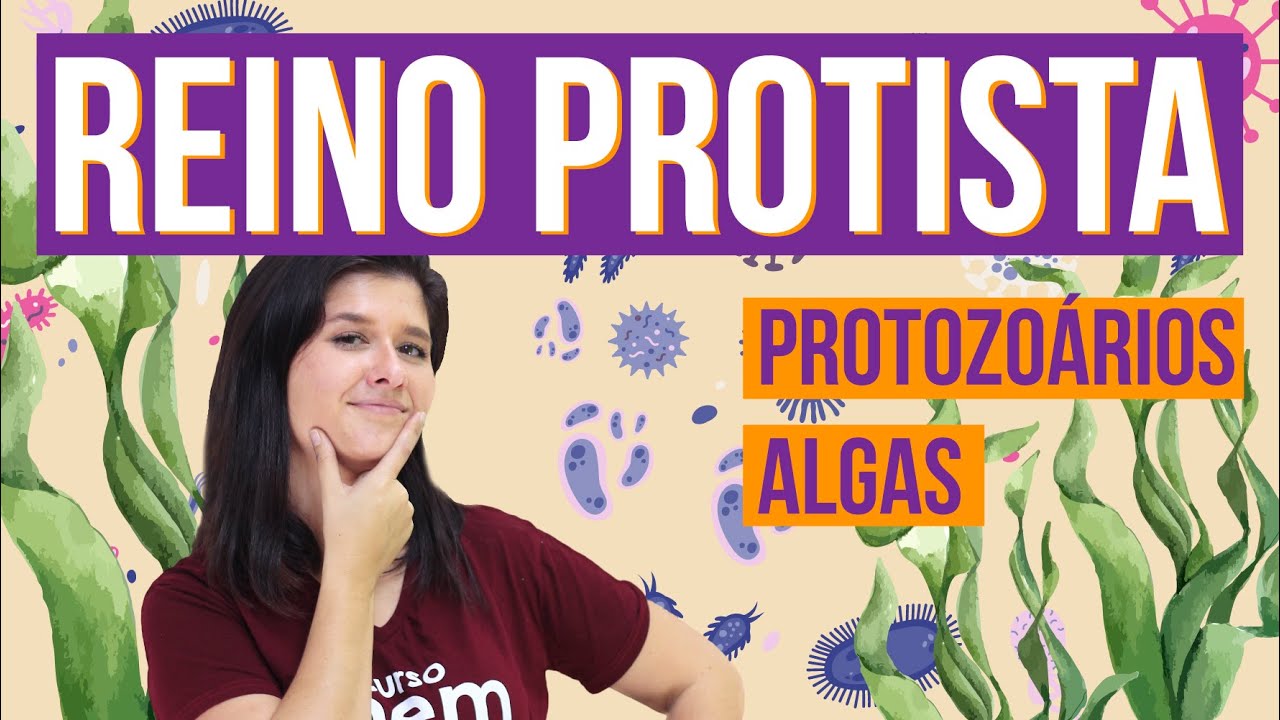 REINO PROTISTA E SUAS CARACTERÍSTICAS | Resumo de Biologia para o Enem