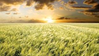 I Want To Praise YOU Lord   MARANATHA SINGERS