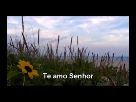 Conjunto Sonoros-A procura