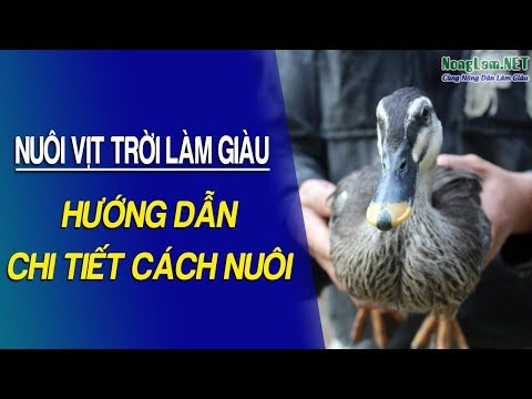 , title : 'Nuôi Vịt Trời Làm Giàu: Kỹ thuật nuôi Vịt Trời Sinh Sản và Thương Phẩm chuẩn'