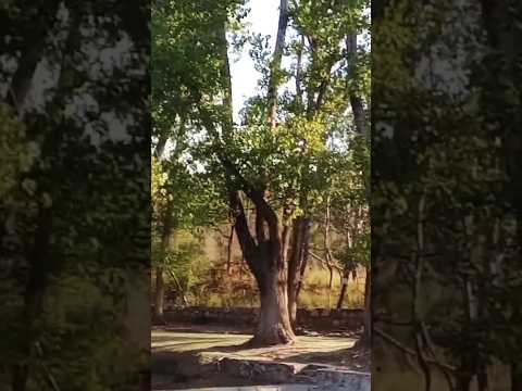 San Estèban, Maravillosa Naturaleza, en Córdoba, Argentina #sanesteban