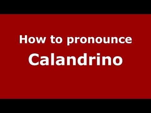How to pronounce Calandrino (Italian/Italy) - PronounceNames.com