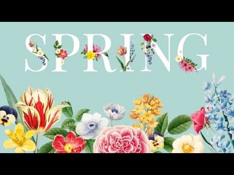 Spring Awakening: Soothing Music and Birdsong for a Peaceful Mind