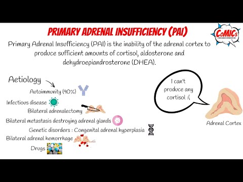 CoMICs Episode 9: Primary Adrenal Insufficiency